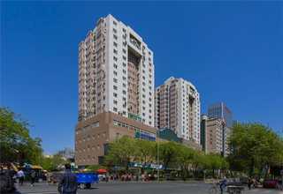 锂电池粘结剂哪家强